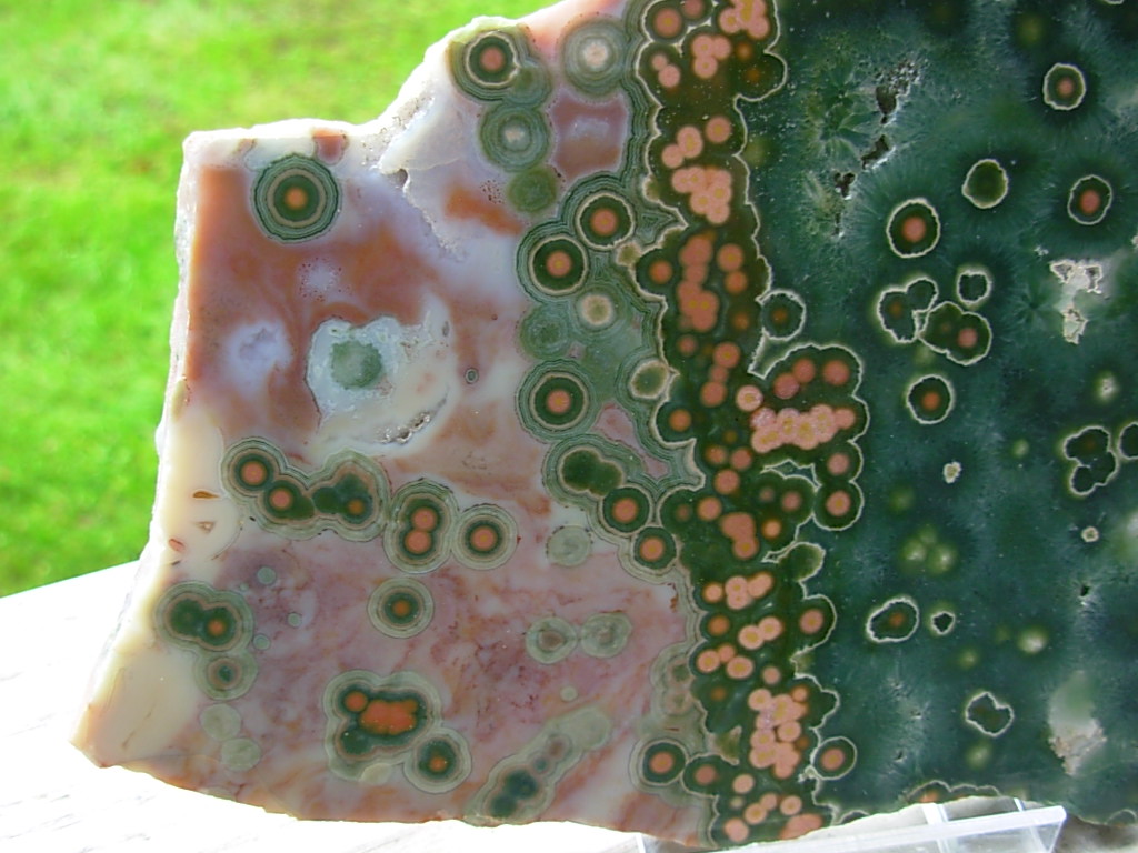 Ocean Jasper from SpiritRock Shop
