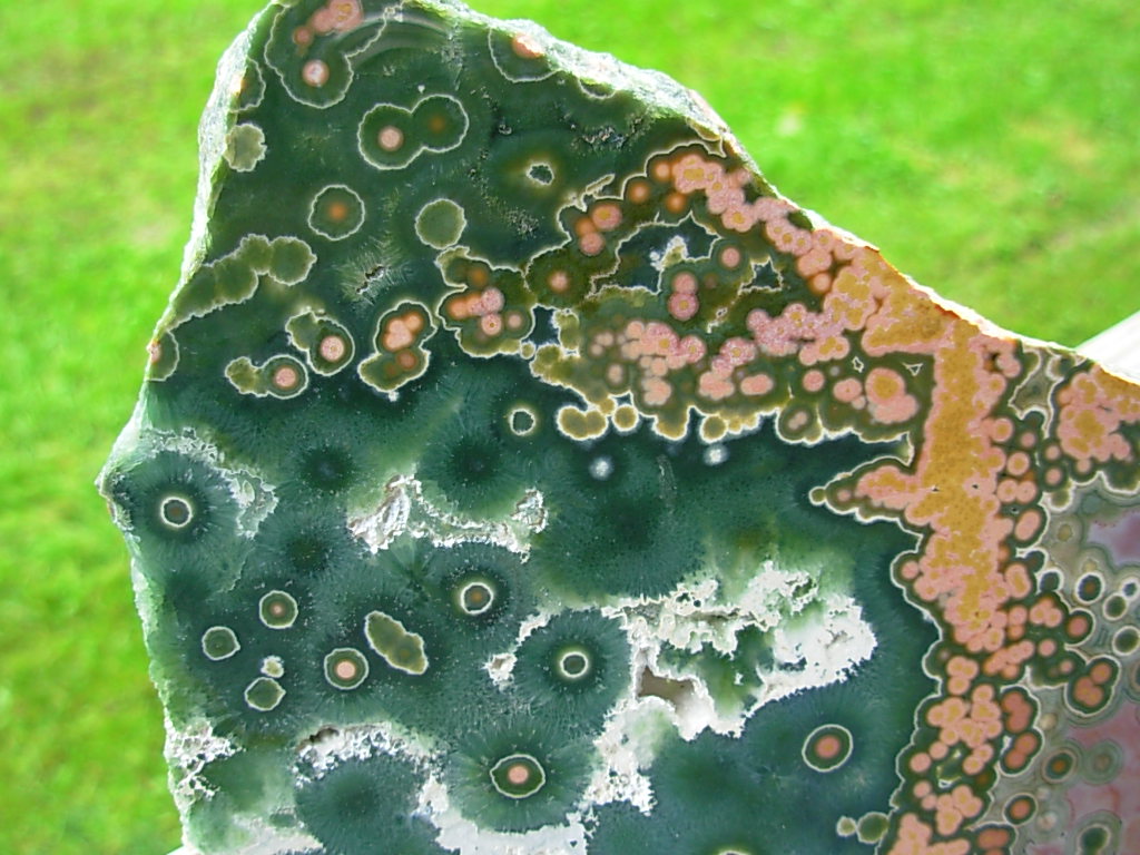 Ocean Jasper from SpiritRock Shop